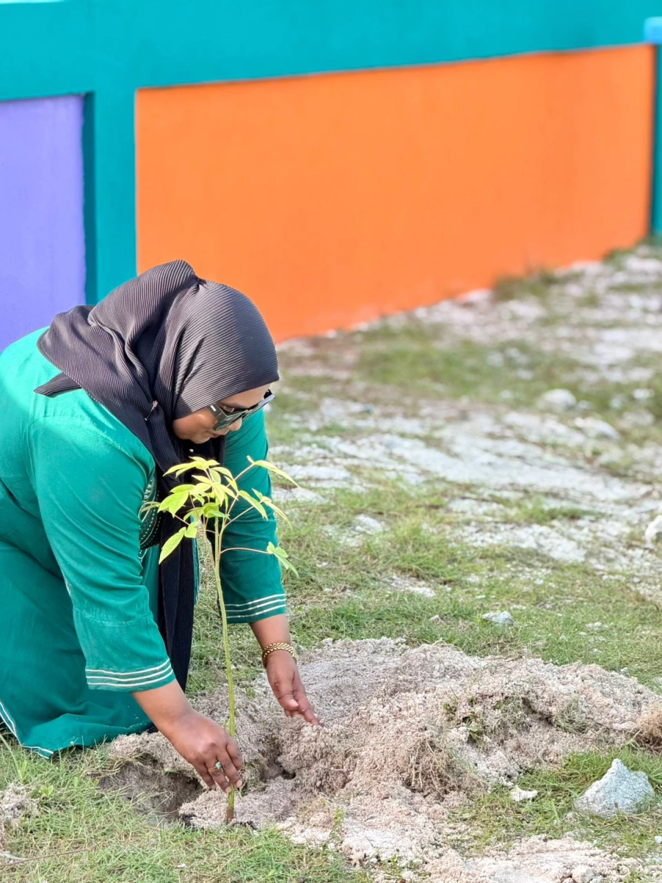 ތިމާވެށީގެ ދުވަހާއި ގުޅިގެން ކުރިއަށް ގެންދިއަ ގަސްއިންދުމުގެ ހަރަކާތް